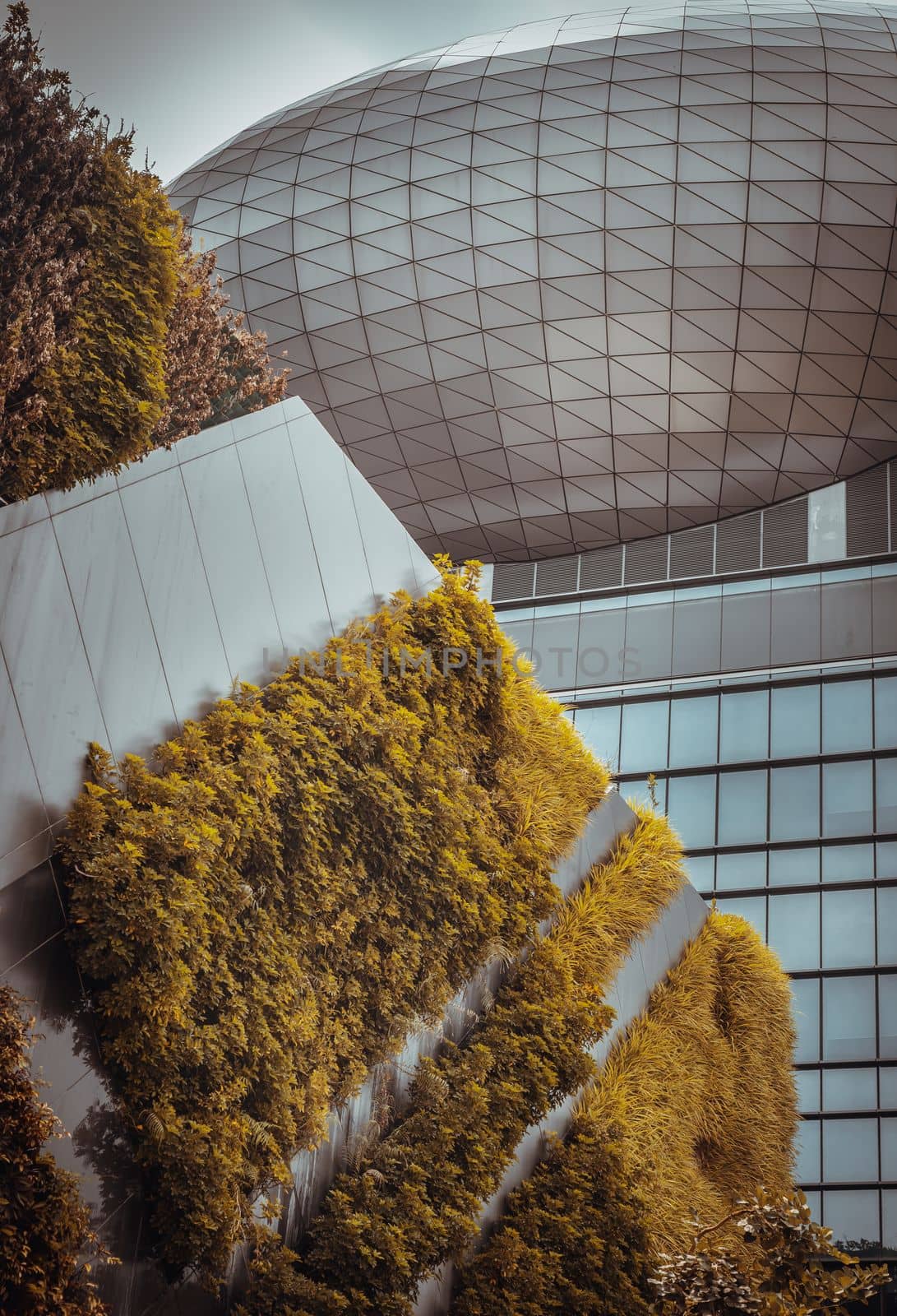 Bangkok, thailand - Mar 18, 2022 : Architectural View of Modern high rise building design of glass and concrete with Fern and green plants decorate on wall in front of. Selective focus.