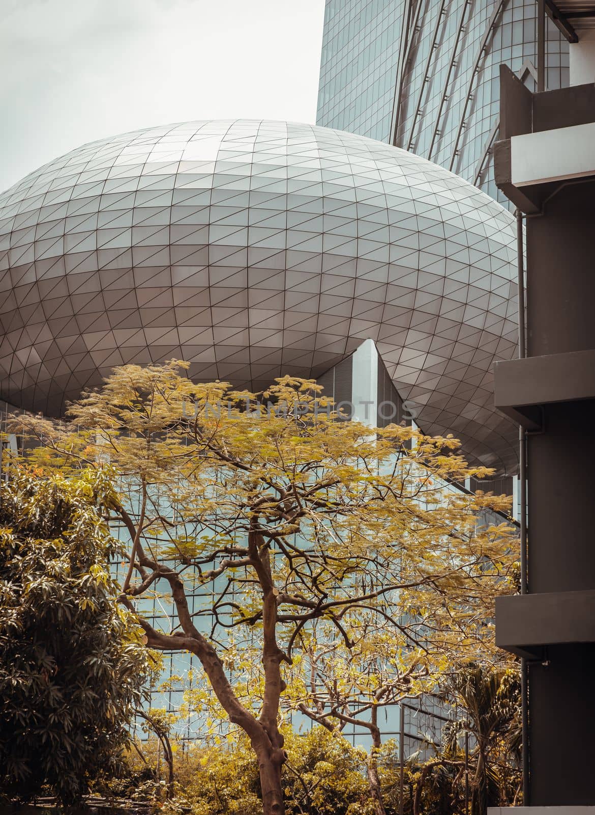 Bangkok, thailand - Mar 18, 2022 : Fawn green leaves of trees against the background of Modern high-rise building design of glass and concrete on a sunny day. The beauty of landscape design in front of the building, Architecture of the bangkok city. No focus, specifically.
