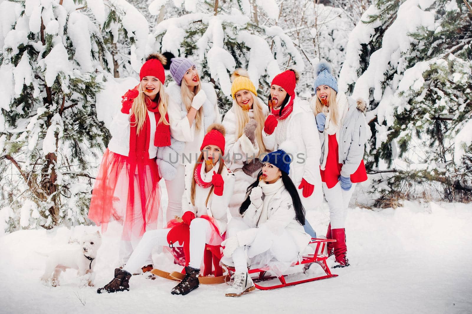 A large group of girls with lollipops in their hands stands in the winter forest.Girls in red and white clothes with candy in a snow-covered forest. by Lobachad