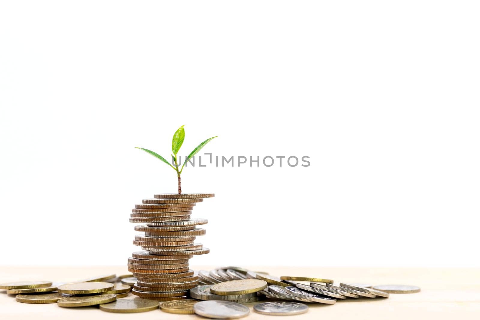 Small tree on the top of a pile of coins isolated on white background, used for business ideas and financial growth. by wattanaphob