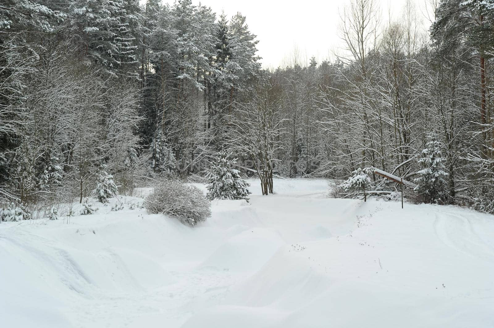 Winter landscape of a mountain river in the snow, around the forest.