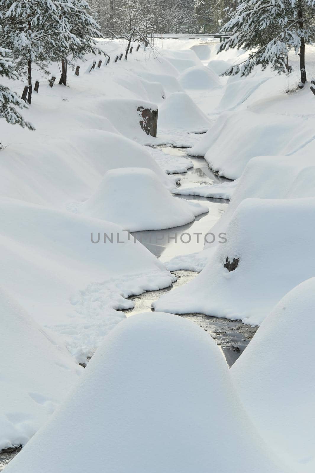 Winter landscape of a mountain river in the snow, around the forest by Lobachad