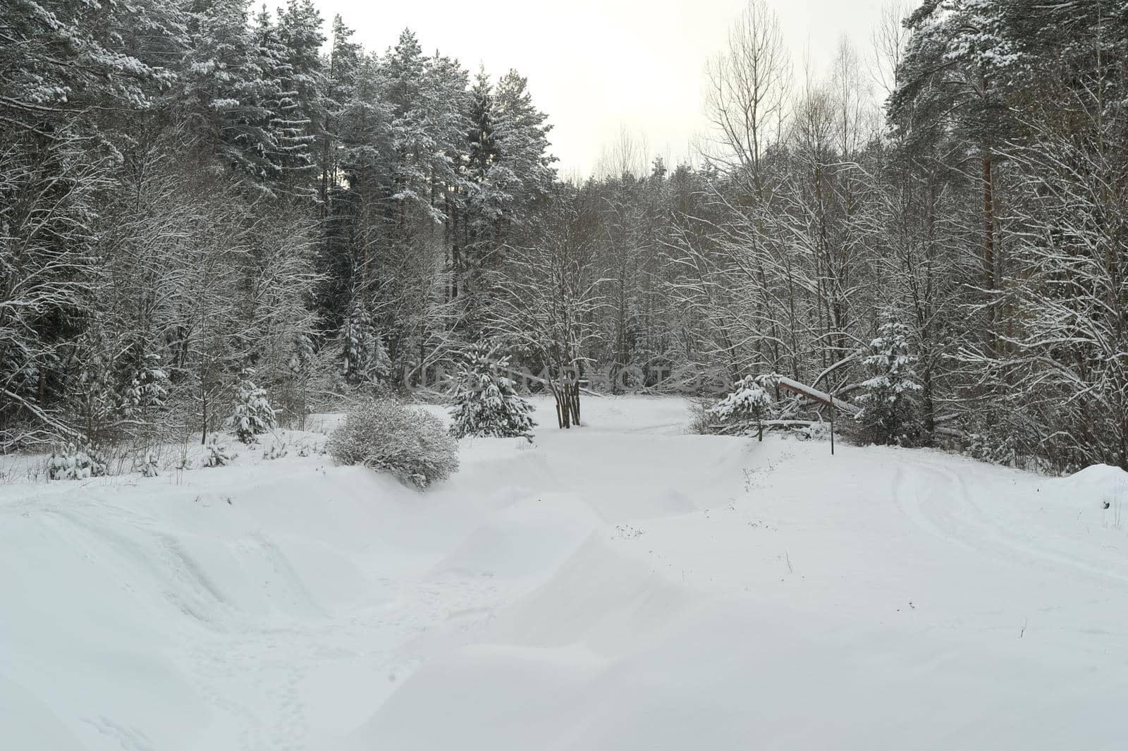 Winter landscape of a mountain river in the snow, around the forest.