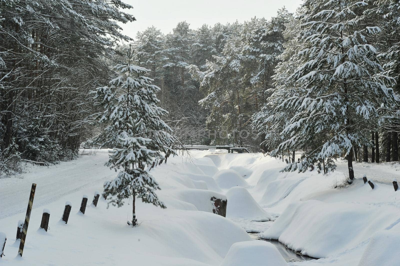 Winter landscape of a mountain river in the snow, around the forest.