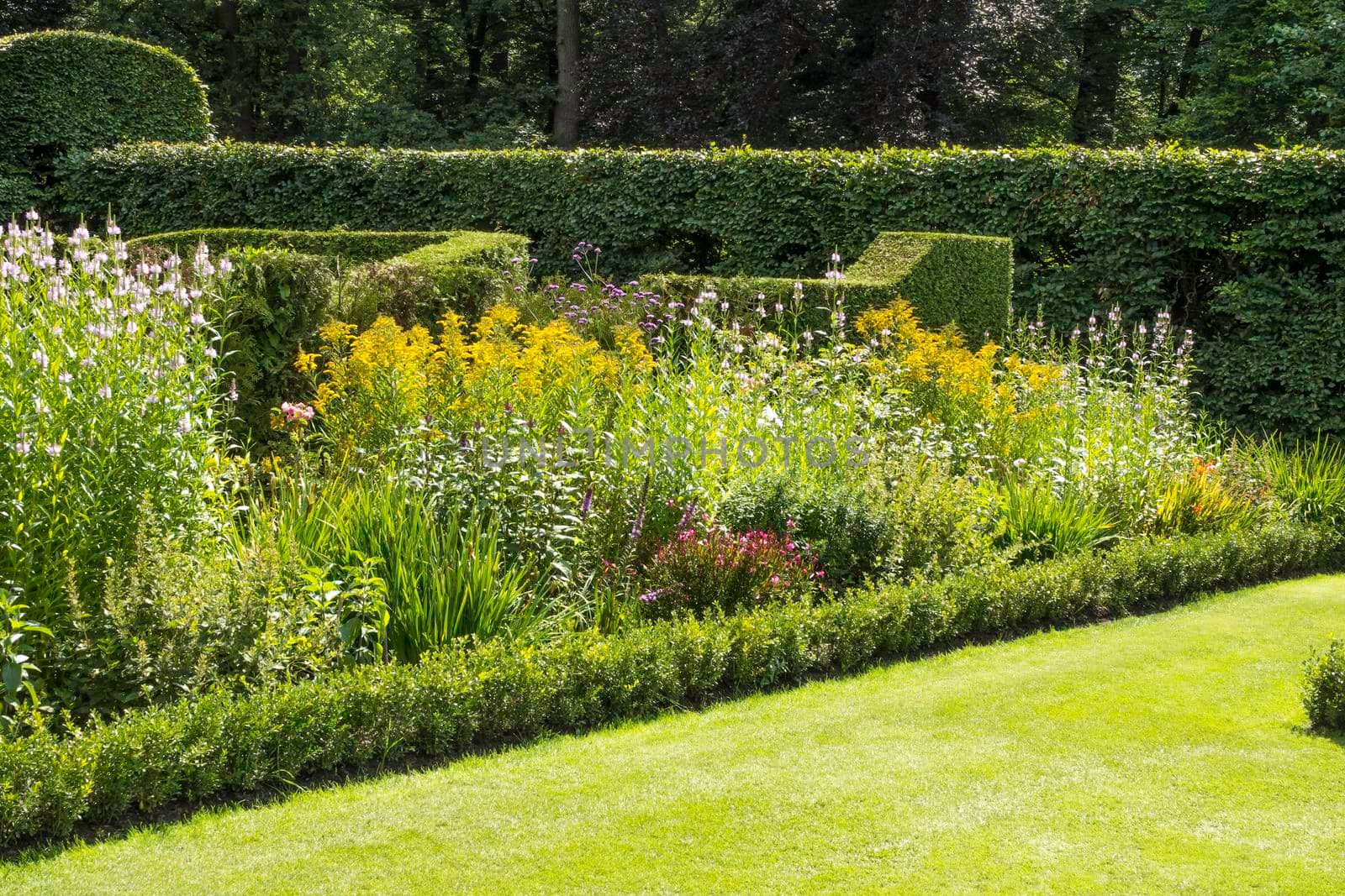 english green garden with borders by compuinfoto