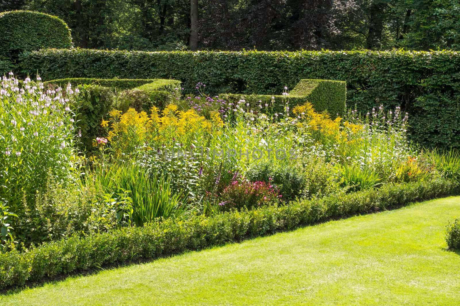 english green garden with borders full of flowers in purple yellow and white