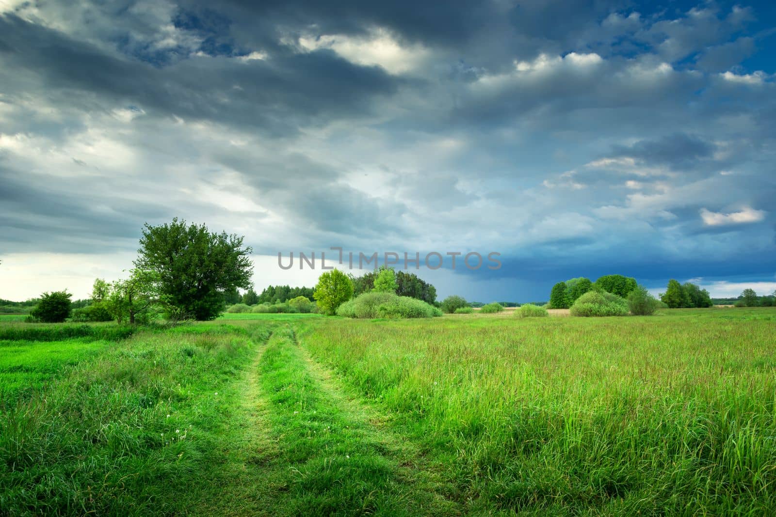 The path through a green meadow and beautiful clouds