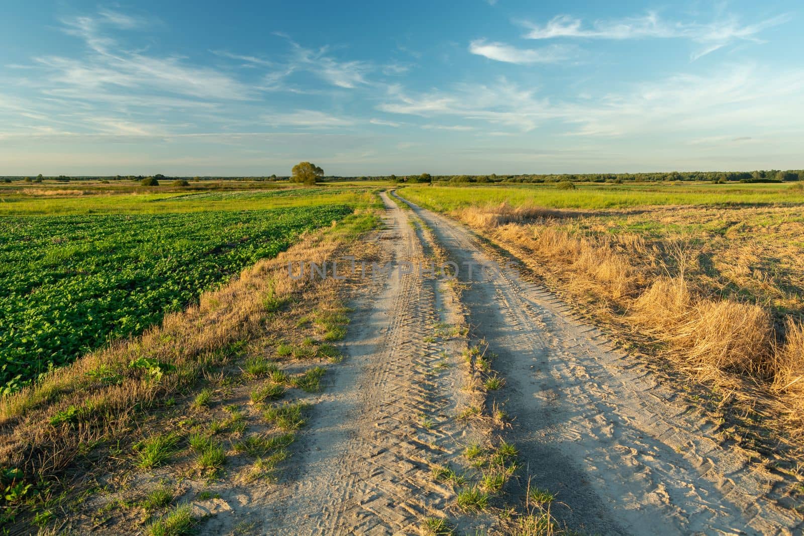 Sandy road and rural fields in eastern Poland by darekb22