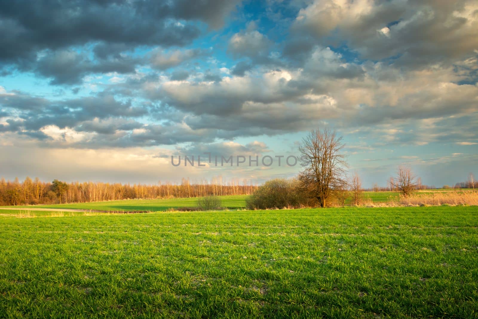 Spring clouds over meadows in eastern Poland by darekb22
