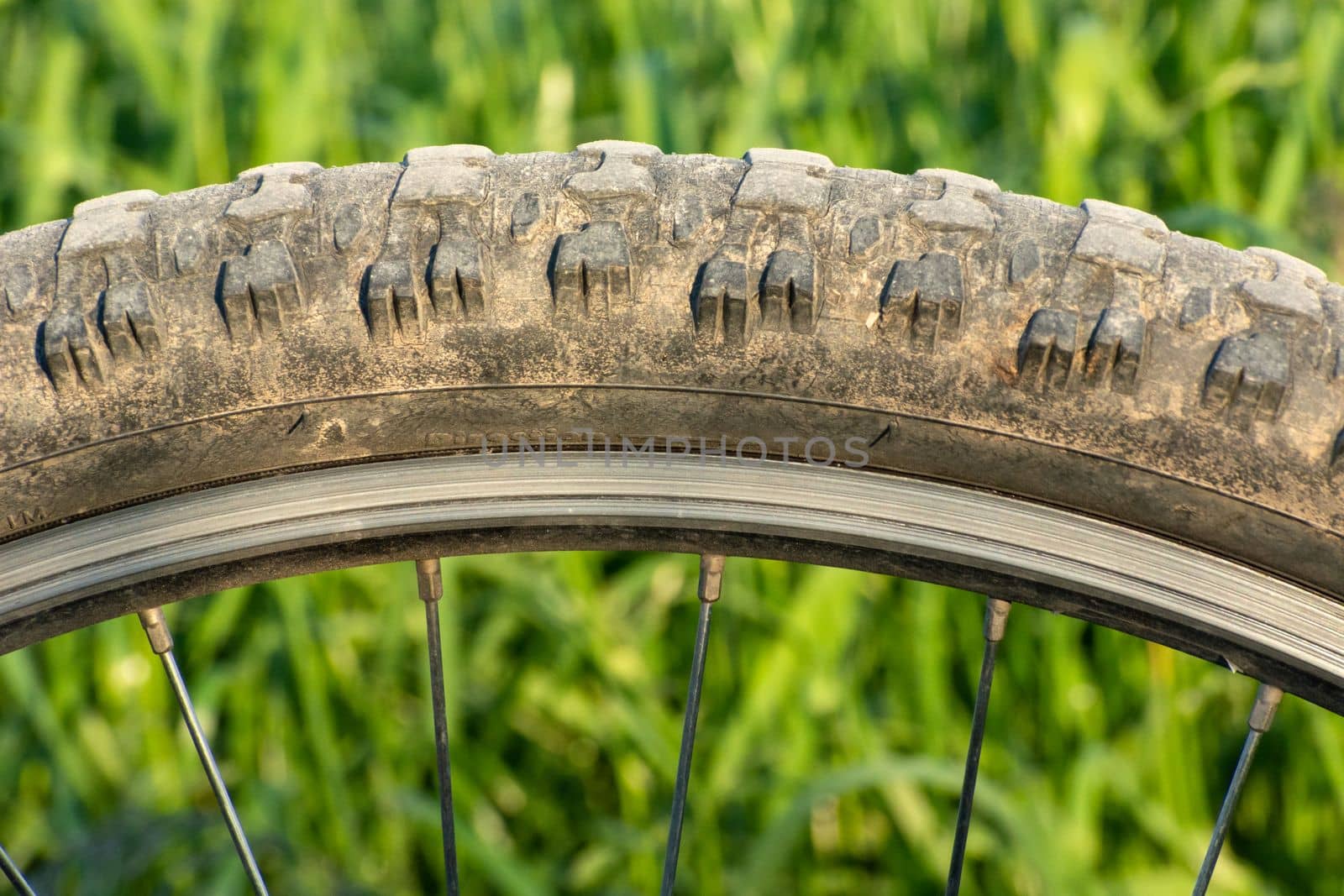 Close up of a bicycle wheel with tire and spokes by darekb22