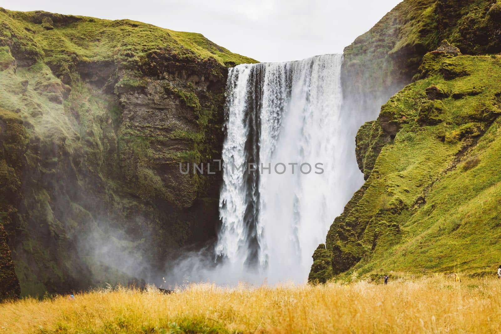 Famous Skogafoss waterfall on Skoga river. Iceland, Europe. Landscape photography. High quality photo