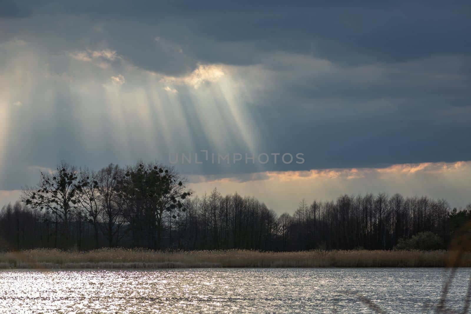 The sun's rays in the clouds and trees on the lake shore, spring day