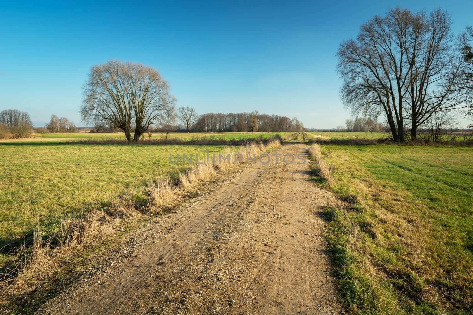 Unpaved road between green meadows and trees, picturesque eastern Poland