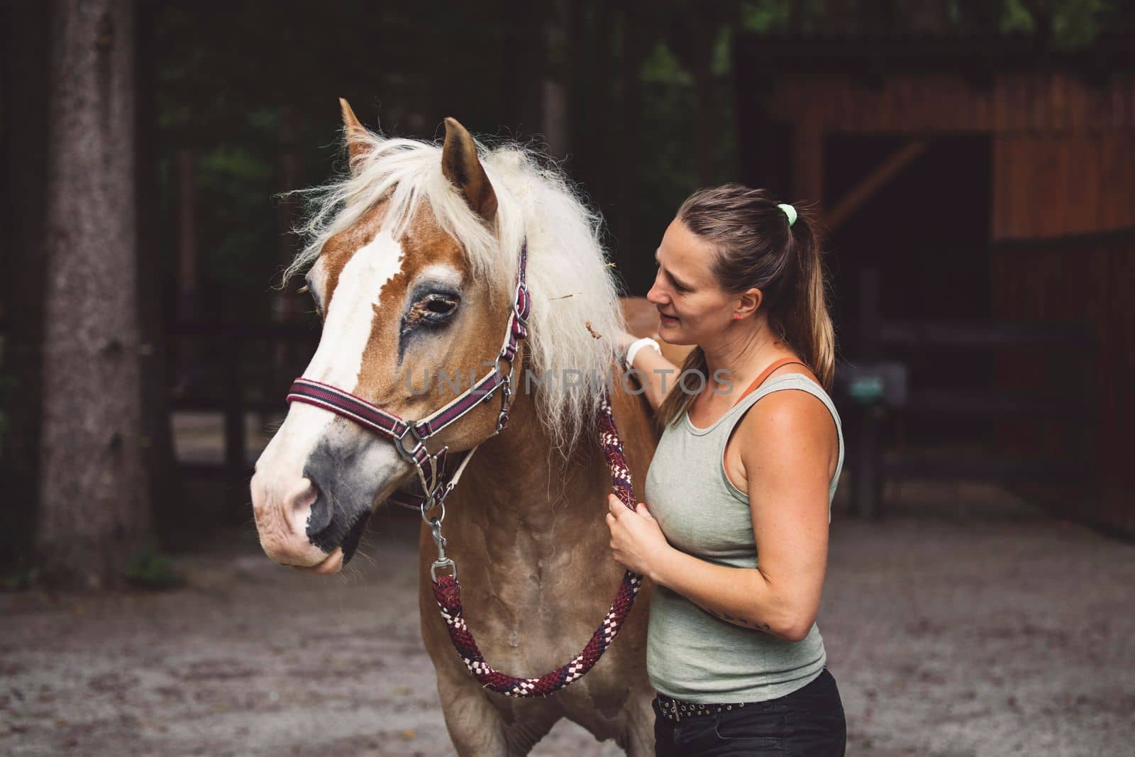 Caucasian woman taking care of her horse in the stables and out, brushing his har with a hairbrush. Beautiful friendly brown horse waiting patiently for his owner to clean him.
