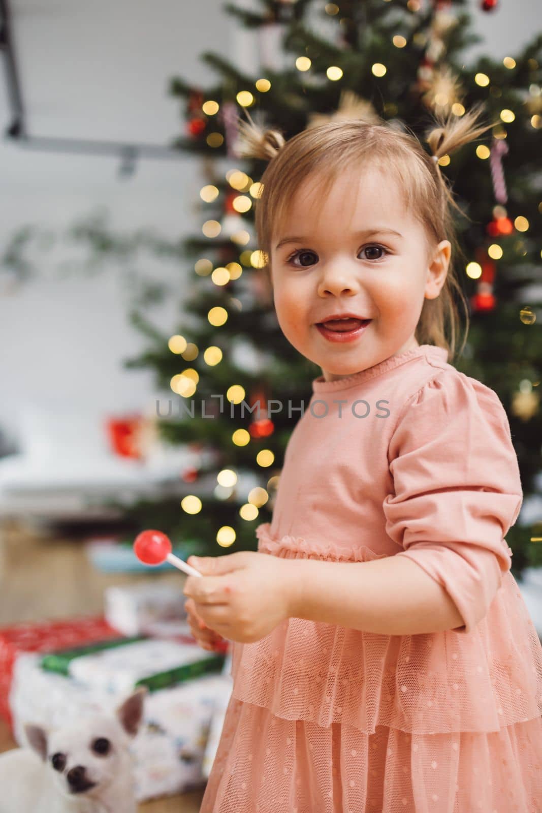 Vertical portrait of cute baby girl with two ponytails standing in front of the Christmas tree by VisualProductions