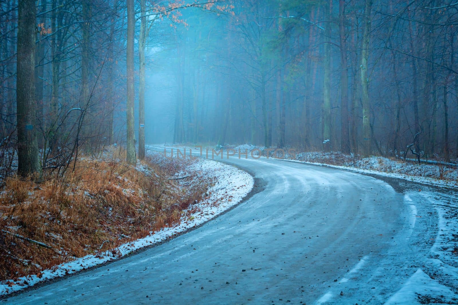 A bend on the road in a foggy winter forest