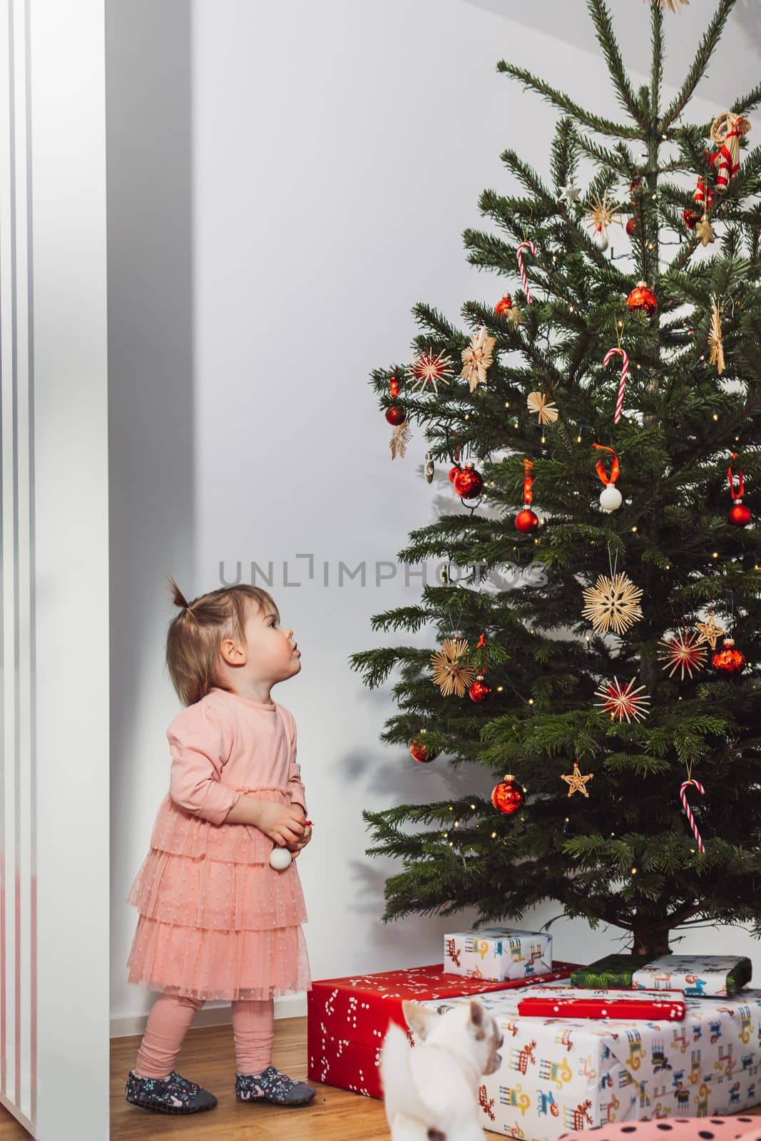 Vertical photo of baby girl standing by the Christmas tree looking where to put the next ornament by VisualProductions