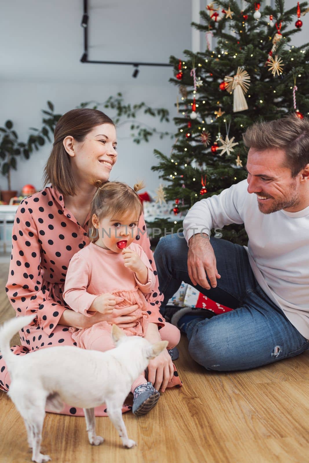 Cheerful smiling family with young baby girl and a dog having fun on Christmas day by VisualProductions