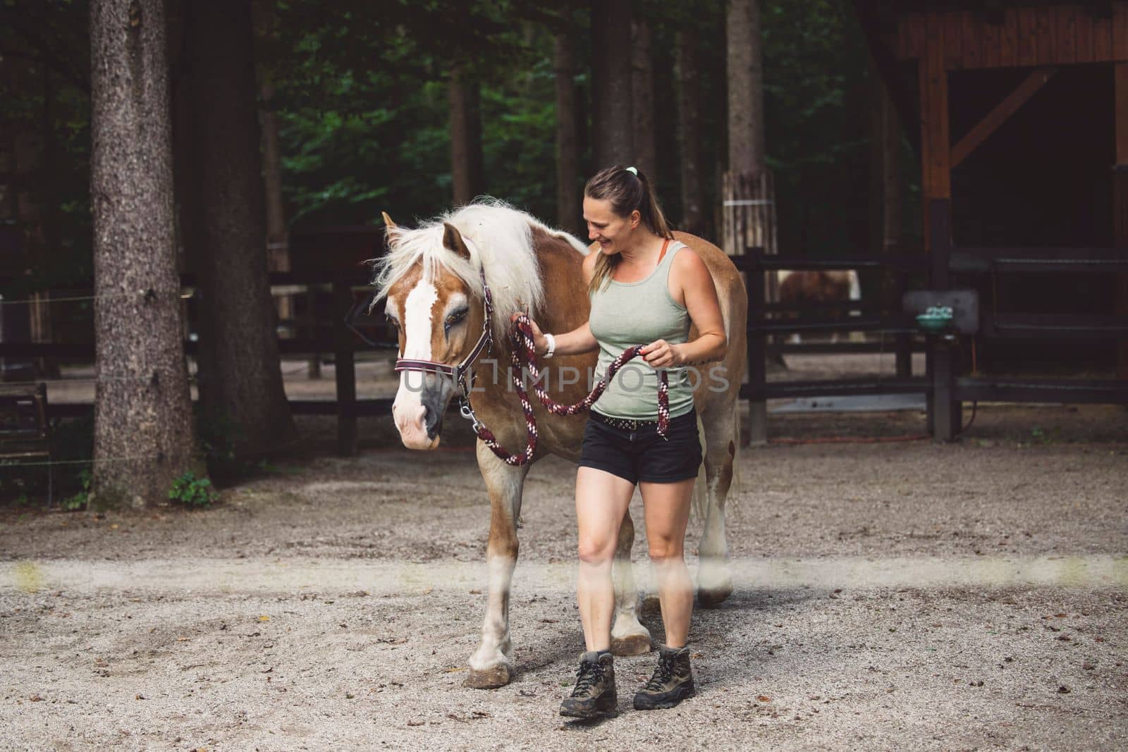 Caucasian woman taking care of her horse in the stables and out, brushing his har with a hairbrush. Beautiful friendly brown horse waiting patiently for his owner to take him horse back riding.