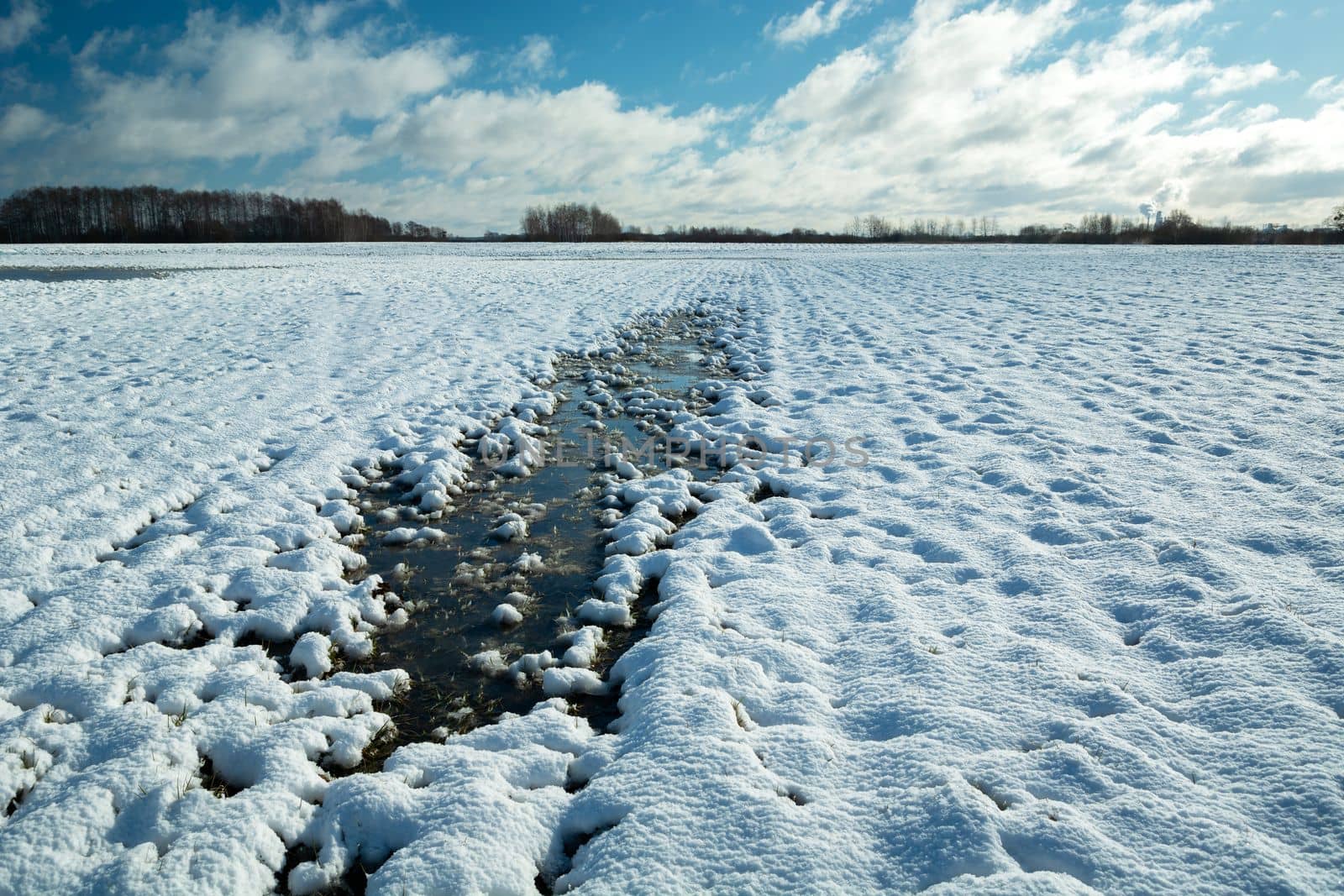 Water and snow in the meadow, view on a clear winter day, eastern Poland