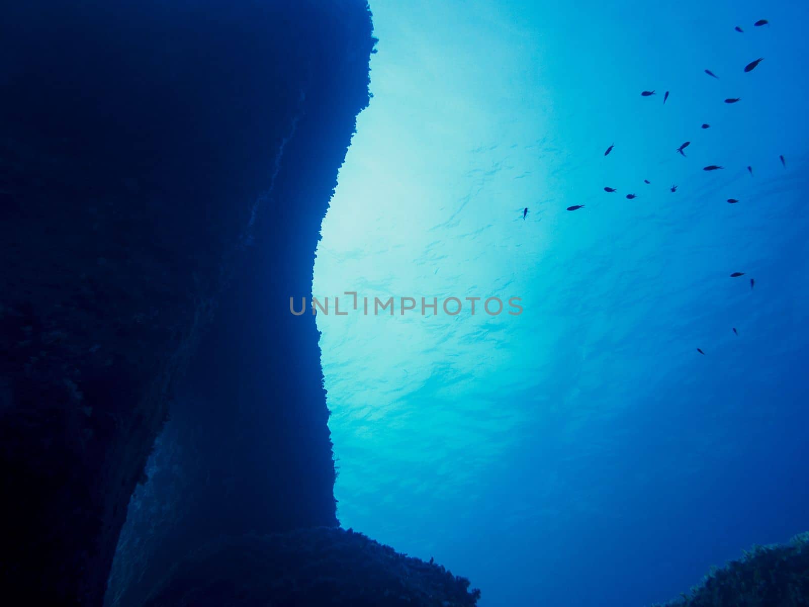 seabed with a large rock wall, small fish swim in the blue and turquoise water, sunlight reflects off the calm surface of the sea