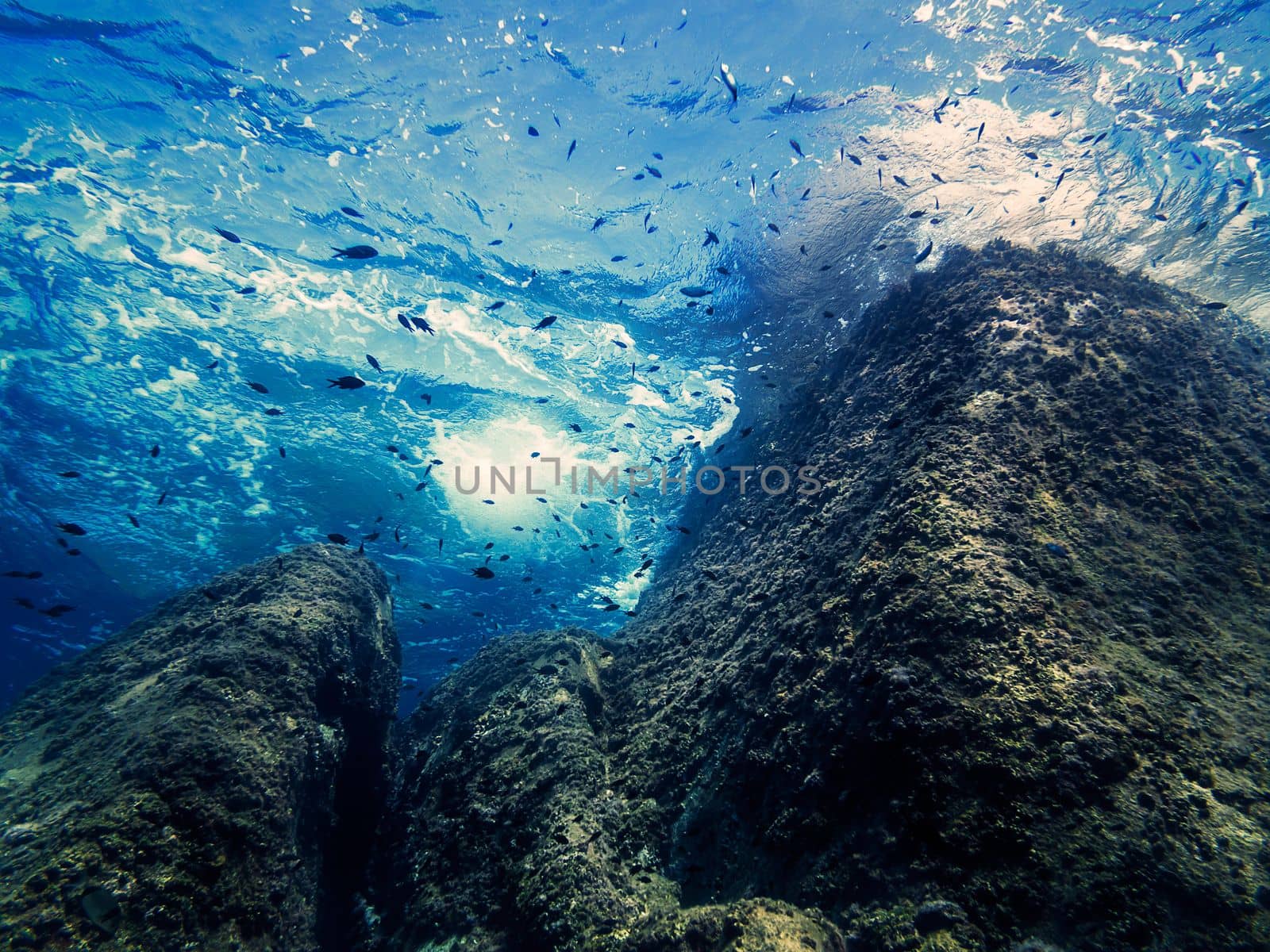shot from bottom to top of the waves beating against the rocks, some small fish swim through the blue and crystal clear water and the golden sun reflects off the marine surface