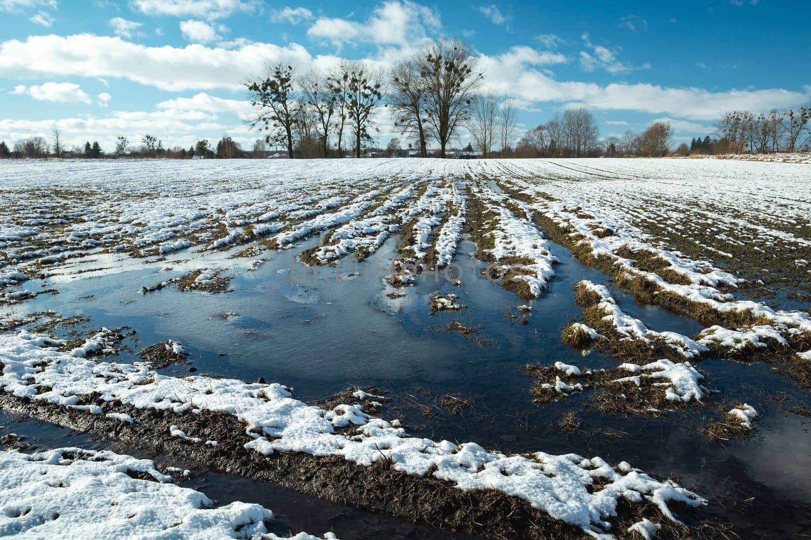 Water and snow on a rural field, view on a clear winter day, eastern Poland