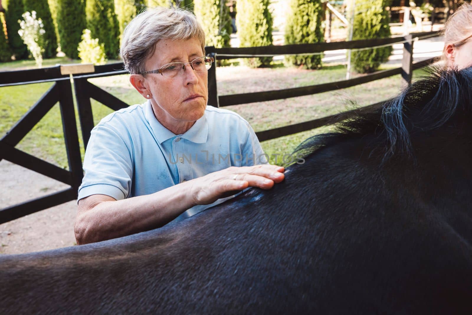 Senior woman grooming a black horse, petting him on the back.
