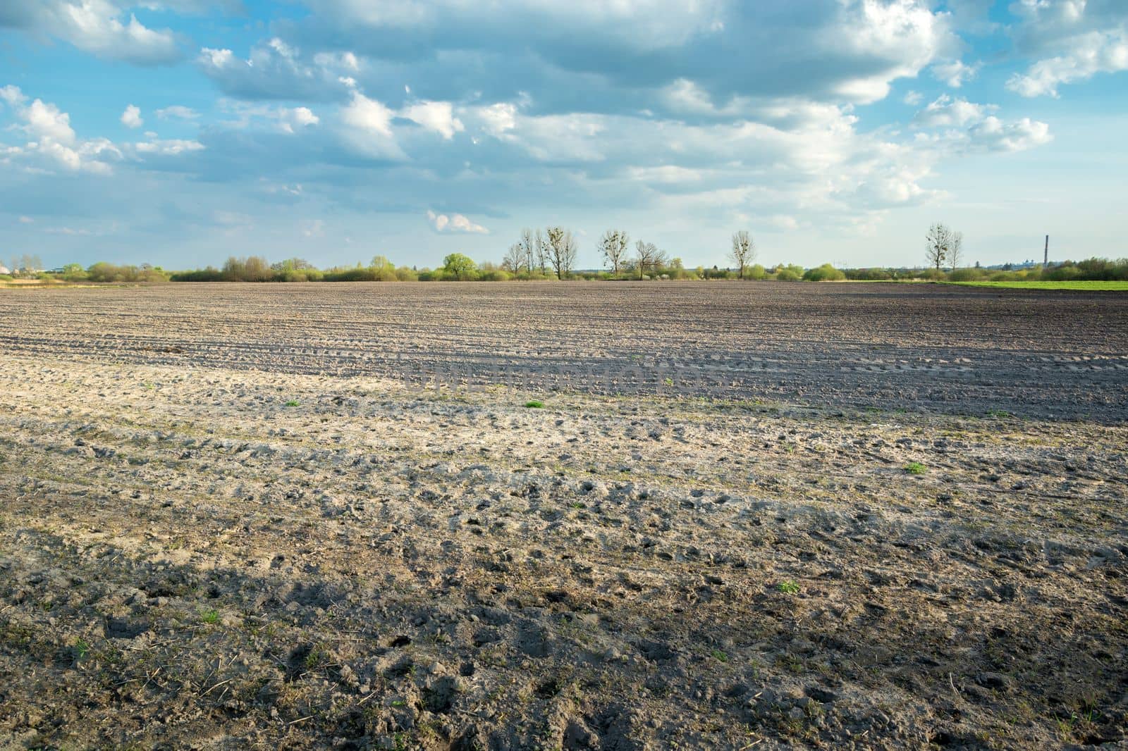 Wild animal tracks in a plowed field, spring view in eastern Poland