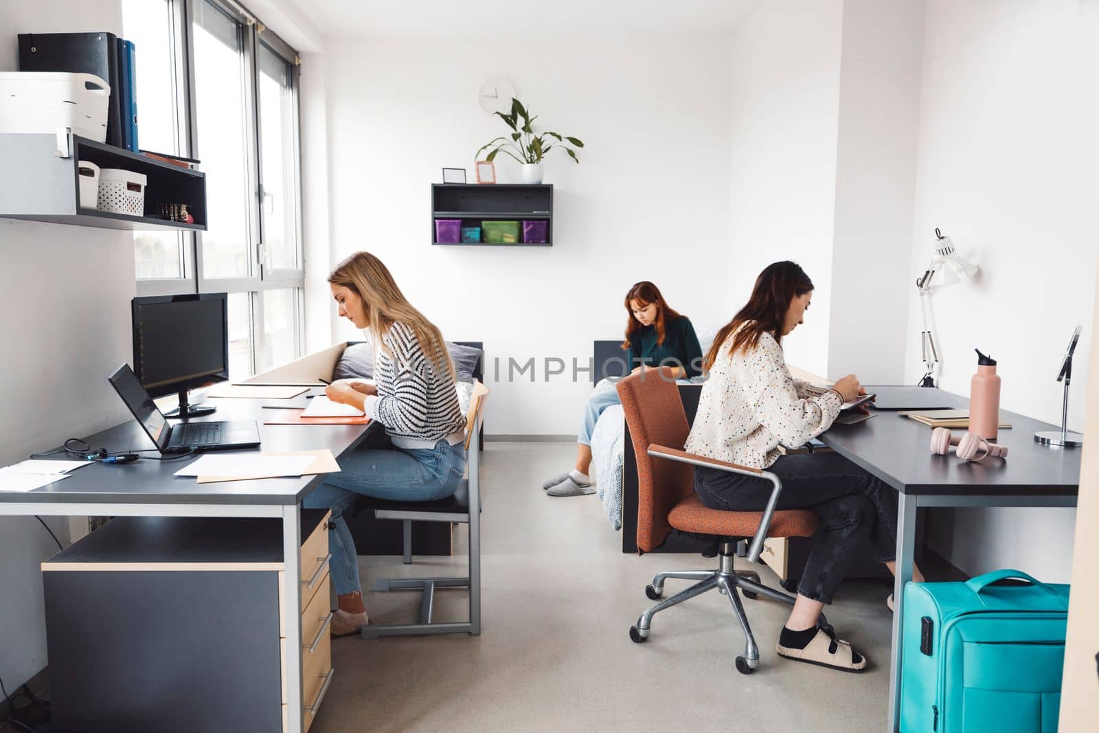 Group of three roommates, college student, young caucasian women, spending time together in their room, studying, talking, having fun, laughing.