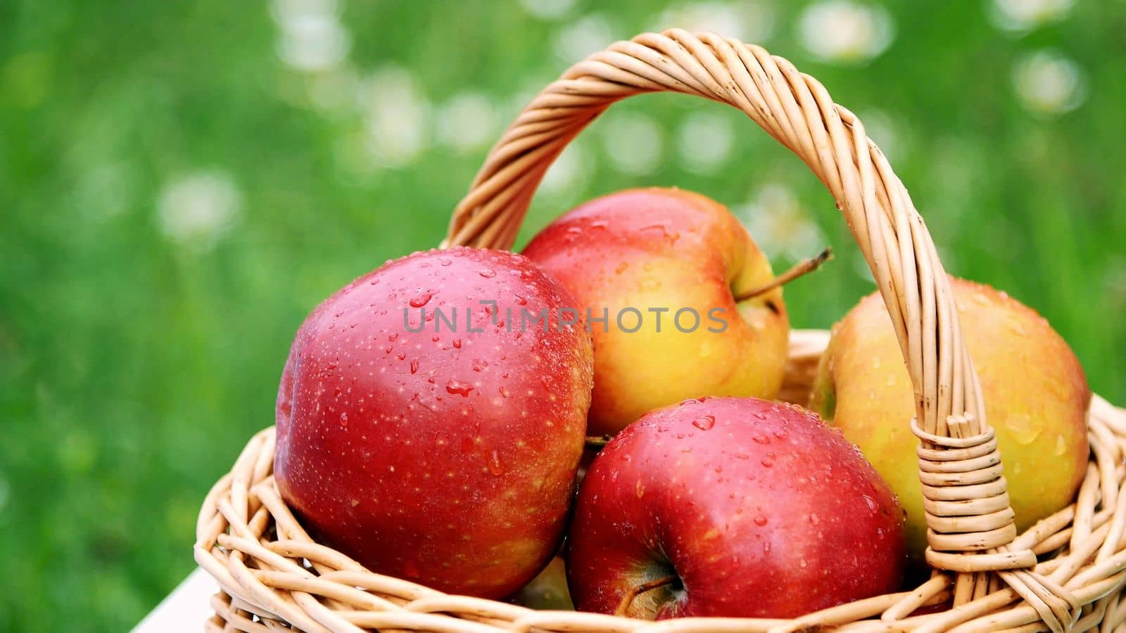 close-up. Beautiful red apples in a basket, in the midst of a flowering daisy field, lawn. High quality photo