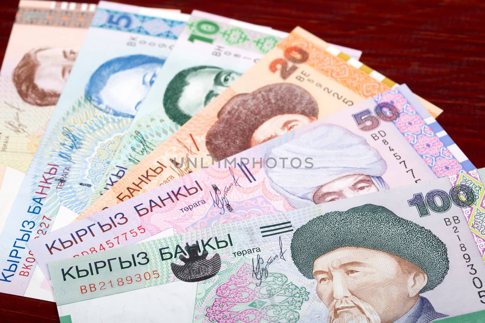 Old Kyrgyzstani money - som a business background