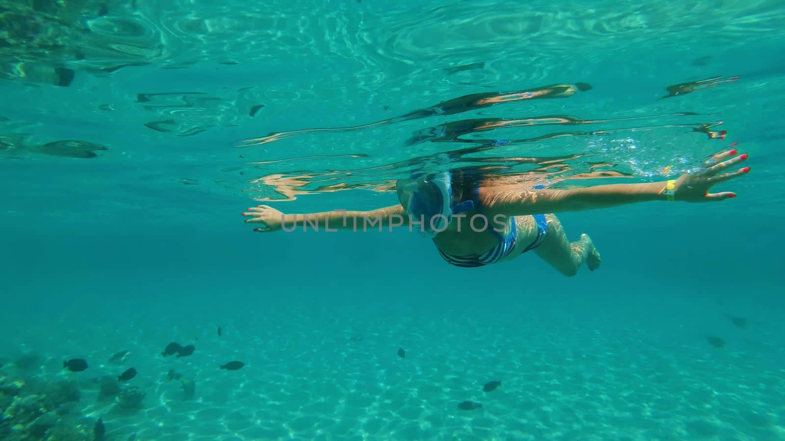 in the sea, a girl in a special snorkeling mask swims, examines fish, corrals, the beauty of the underwater world, on a hot summer day, while on vacation. High quality photo