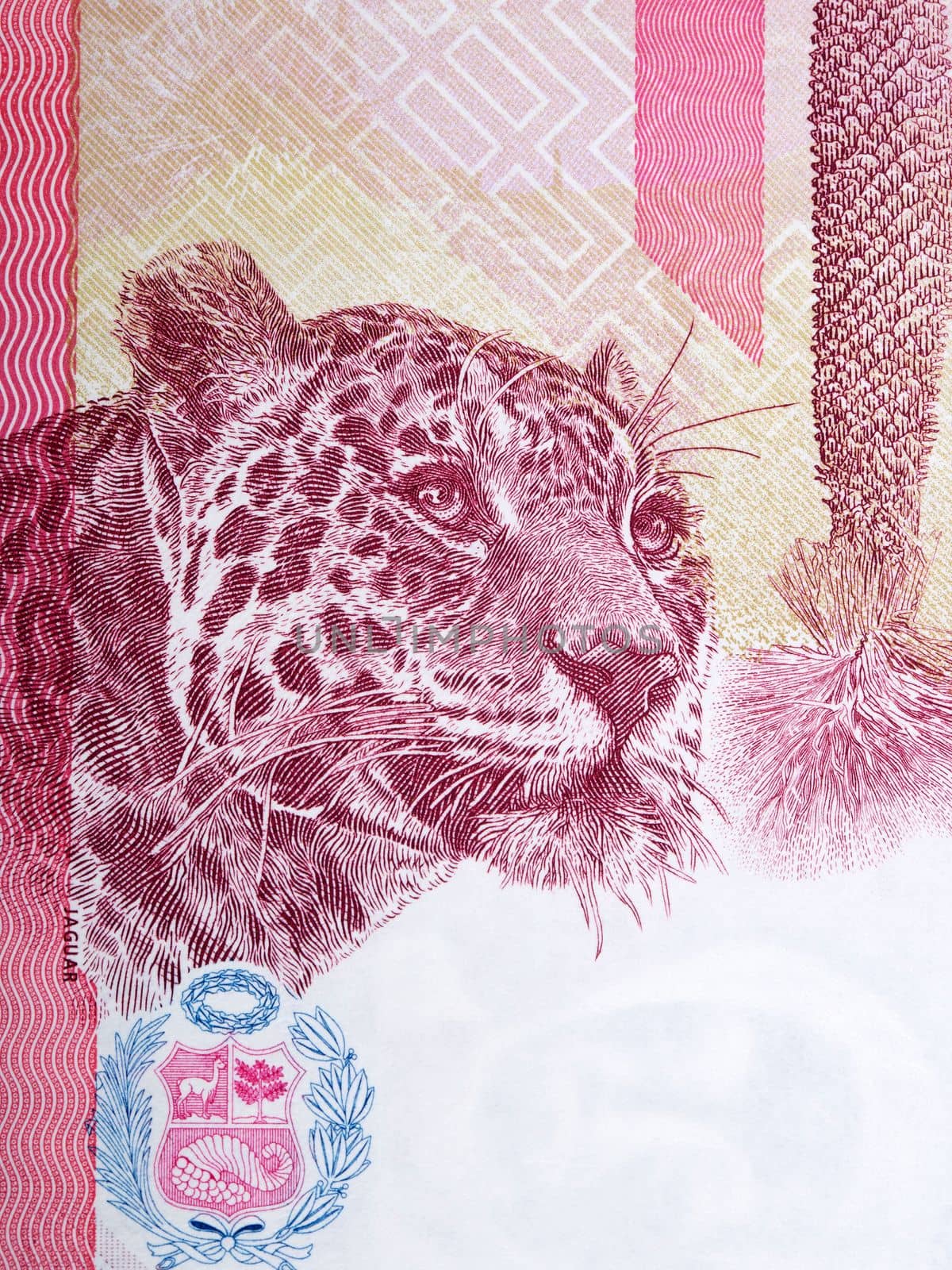 Portrait of a jaguar from Peruvian money by johan10