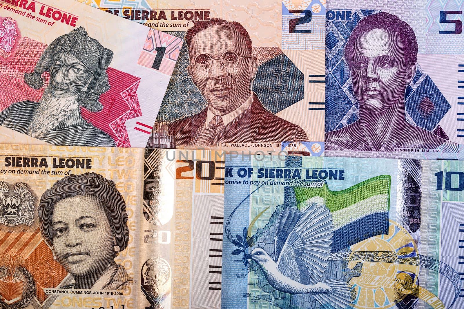 Sierra Leonean money - Leones - a business background from  new series of banknotes