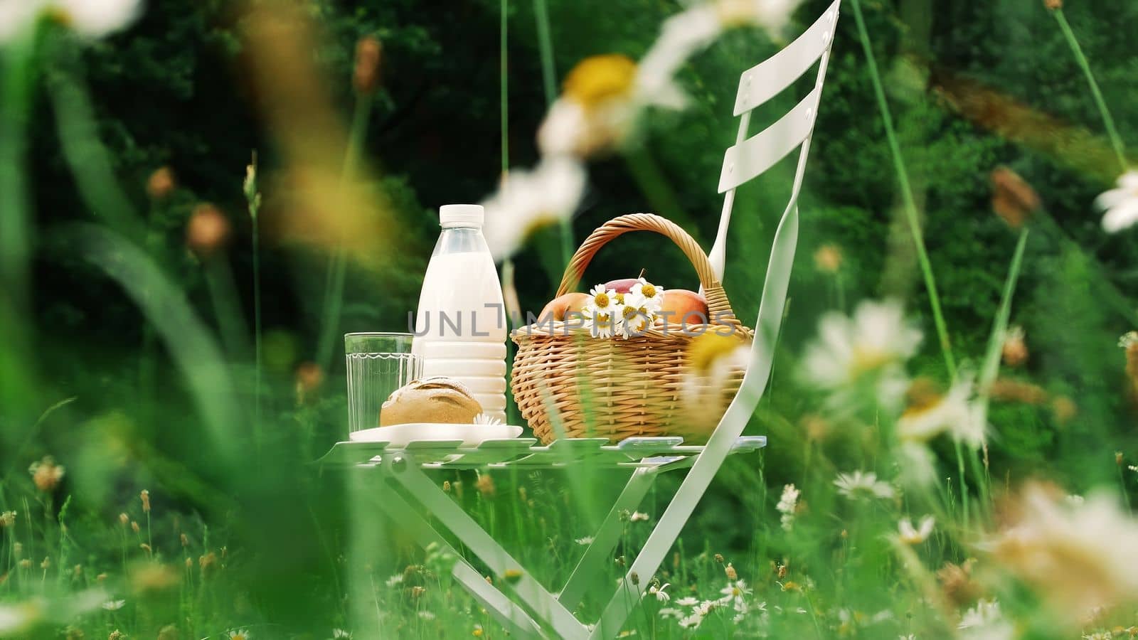 In the middle of a chamomile lawn, on a white chair is a bottle of milk, a basket of apples and bread. High quality photo