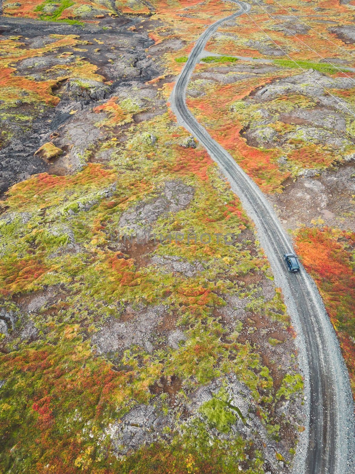 Vibrant autumn colors on Icelandic volcanic landscape and a car driving on an empty gravel road by VisualProductions