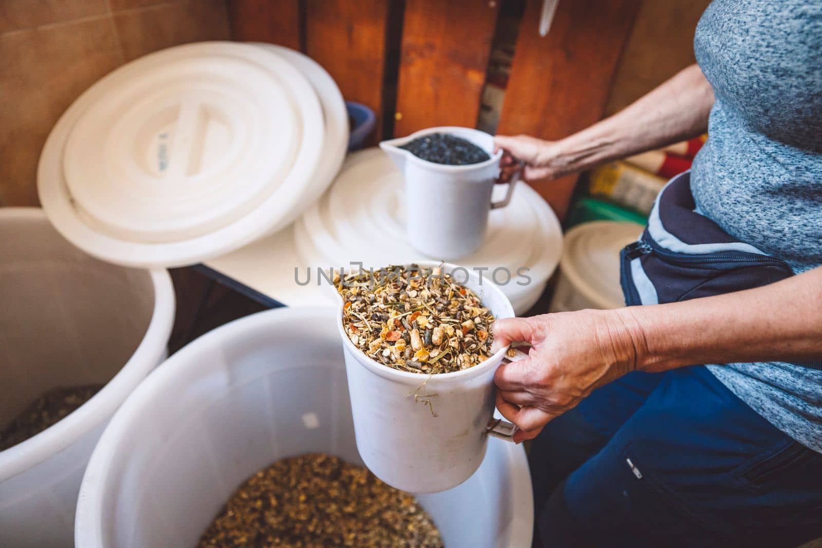 Buckets filled with grain to feed the horses together with hay. Food for animals on the ranch.