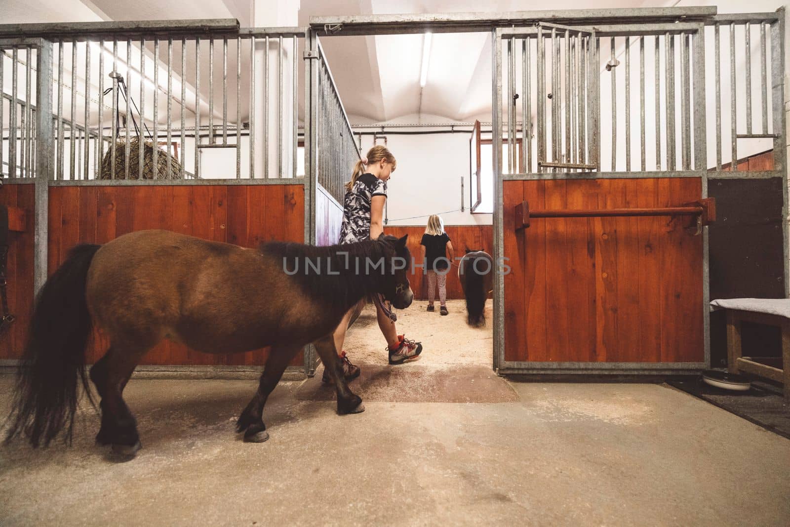 Girl taking a pony to his stable on the ranch by VisualProductions