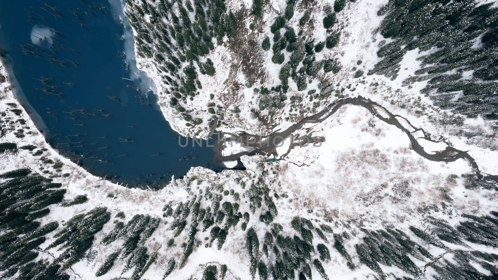 Kaindy Mountain Lake in winter. Drone view of the freezing dark water. Trunks of frozen fir trees come out of the lake. There is a coniferous forest and mountains covered with white snow all around