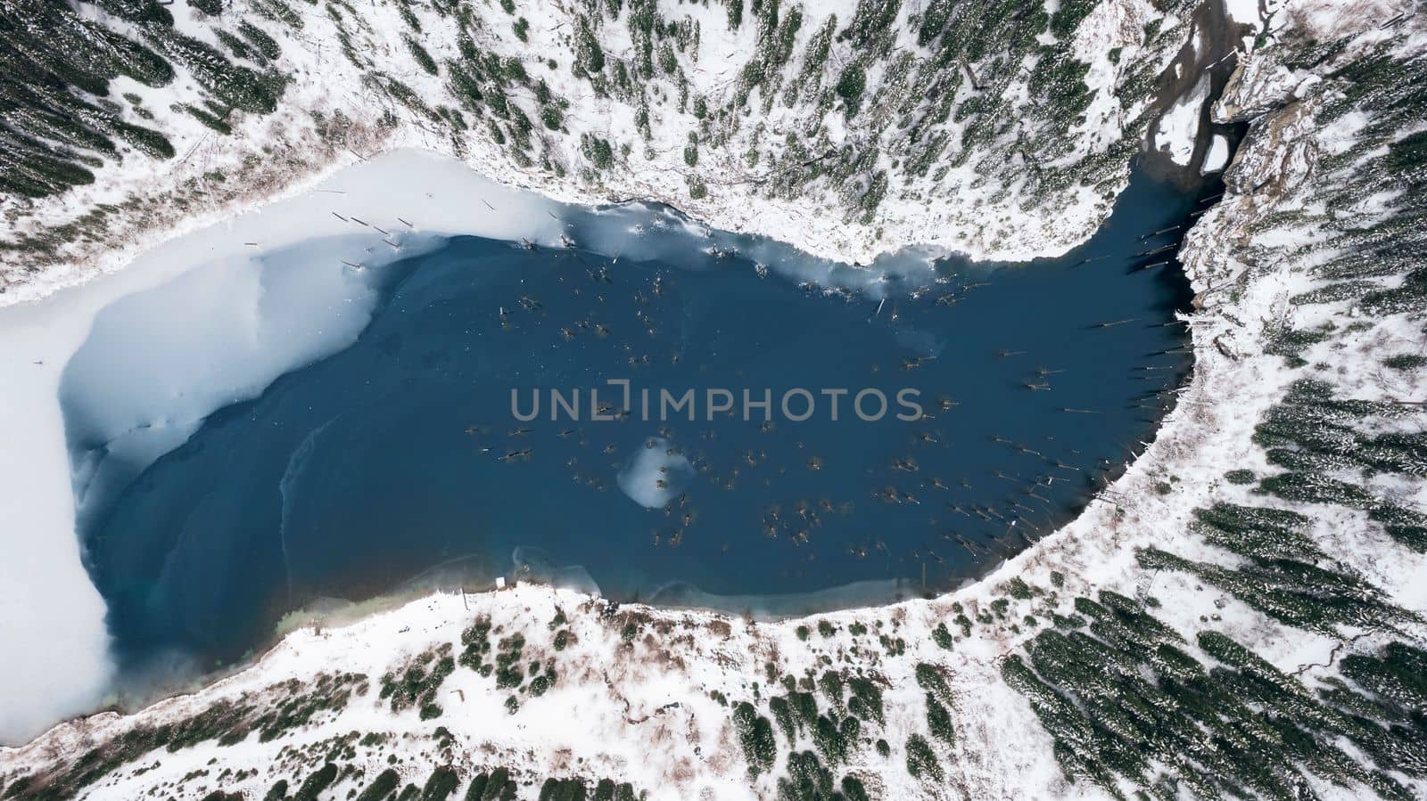 Kaindy Mountain Lake in winter. Drone view of the freezing dark water. Trunks of frozen fir trees come out of the lake. There is a coniferous forest and mountains covered with white snow all around