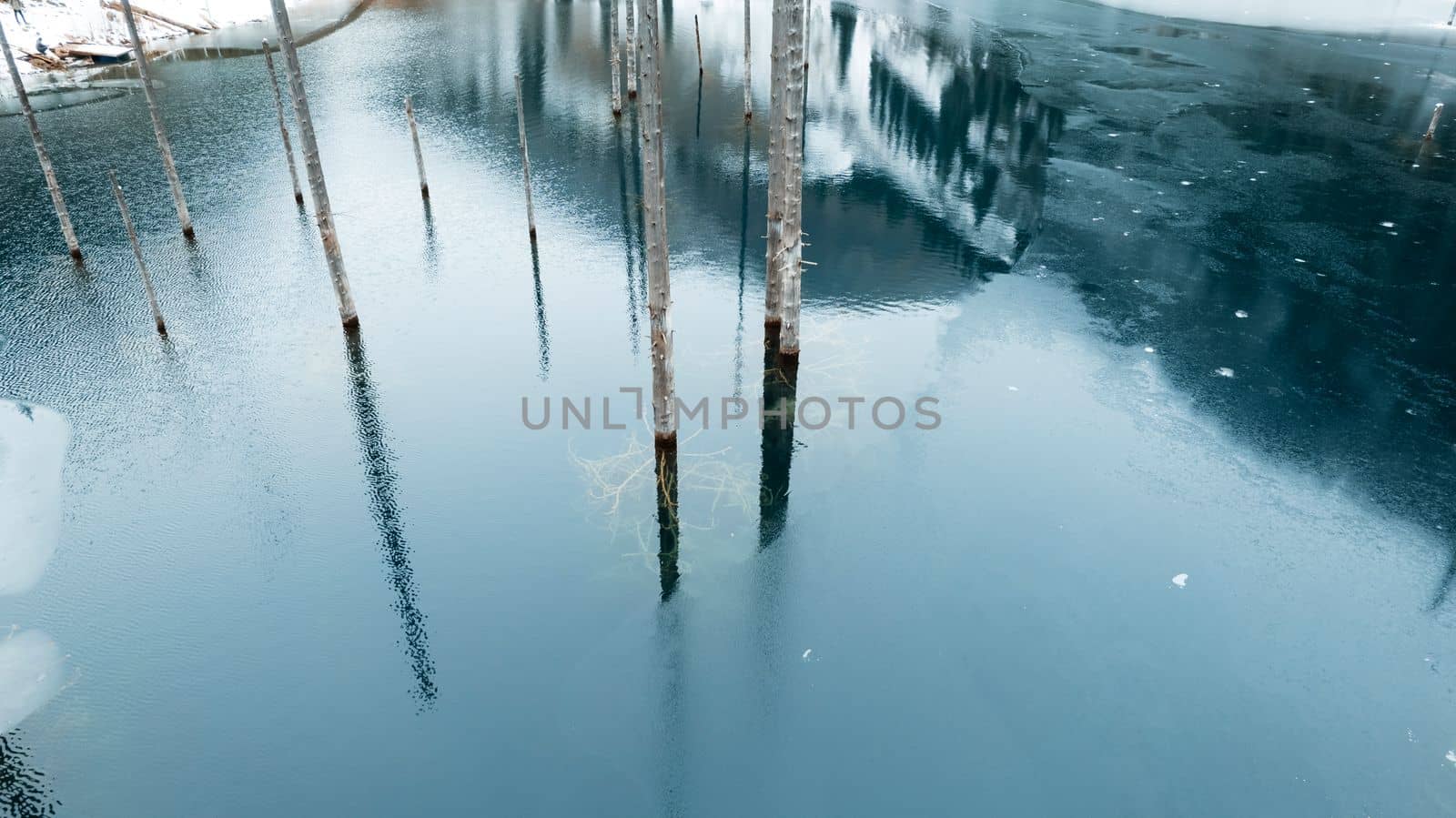 Kaindy Mountain Lake in winter. Drone view of the freezing dark water. Trunks of frozen fir trees come out of the lake. There is a coniferous forest and mountains covered with white snow all around