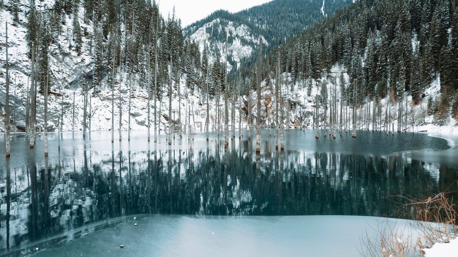 Coniferous tree trunks come out of a mountain lake. Smooth water like a mirror reflects the snowy mountains and the forest. High peaks in the clouds. Kaindy Lake is freezing. Bushes grow on the shore