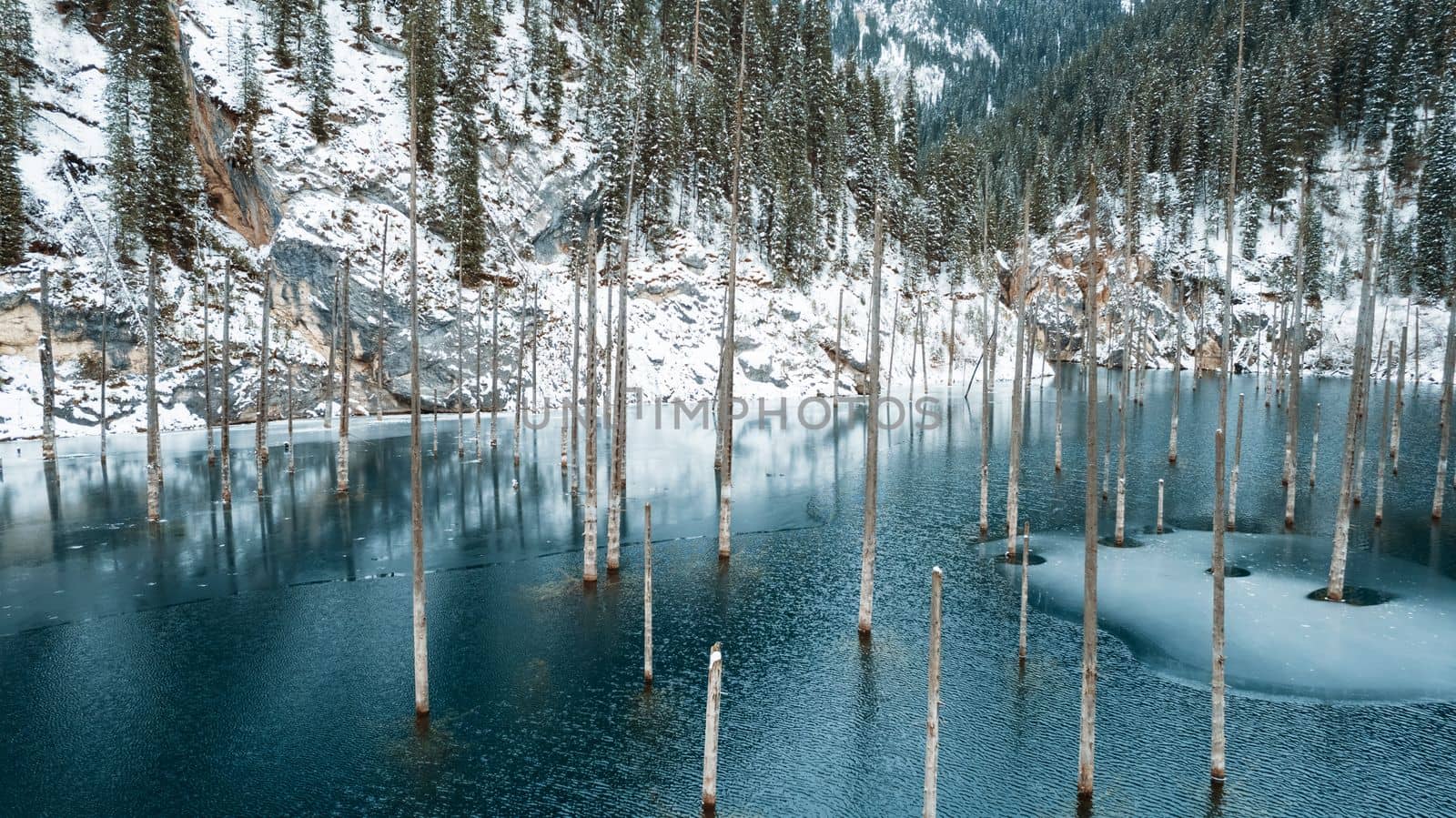 Coniferous tree trunks come out of a mountain lake. Smooth water like a mirror reflects the snowy mountains and the forest. High peaks in the clouds. Kaindy Lake is freezing. Bushes grow on the shore