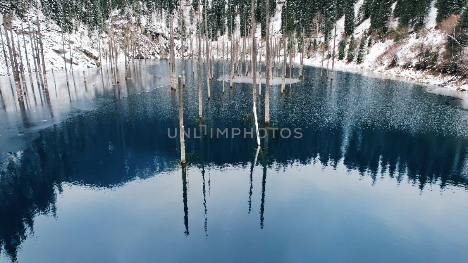 Coniferous tree trunks come out of a mountain lake by Passcal