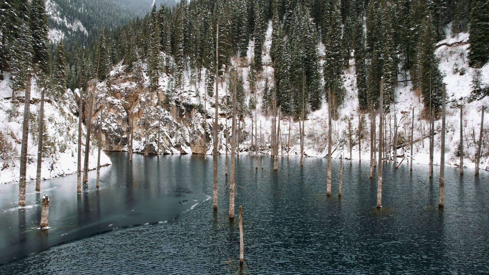 Coniferous tree trunks come out of a mountain lake. Smooth water like a mirror reflects the snowy mountains and the forest. High peaks in the clouds. Kaindy Lake is freezing. Bushes grow on the shore