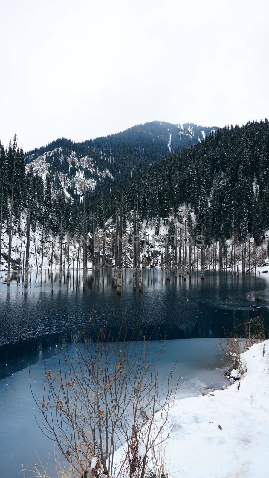 Coniferous tree trunks come out of a mountain lake. Smooth water like a mirror reflects the snowy mountains and the forest. High peaks in the clouds. Kaindy Lake is freezing. Bushes grow on the shore