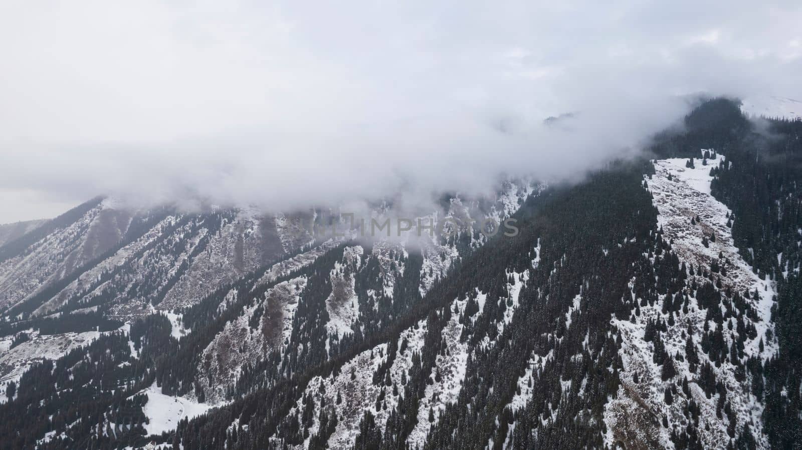 Flying in the clouds with a view of snowy mountains and forest. Tall coniferous trees stand on the hills. White clouds are floating low. Flying through the clouds. Steep slopes. Kazakhstan, Almaty