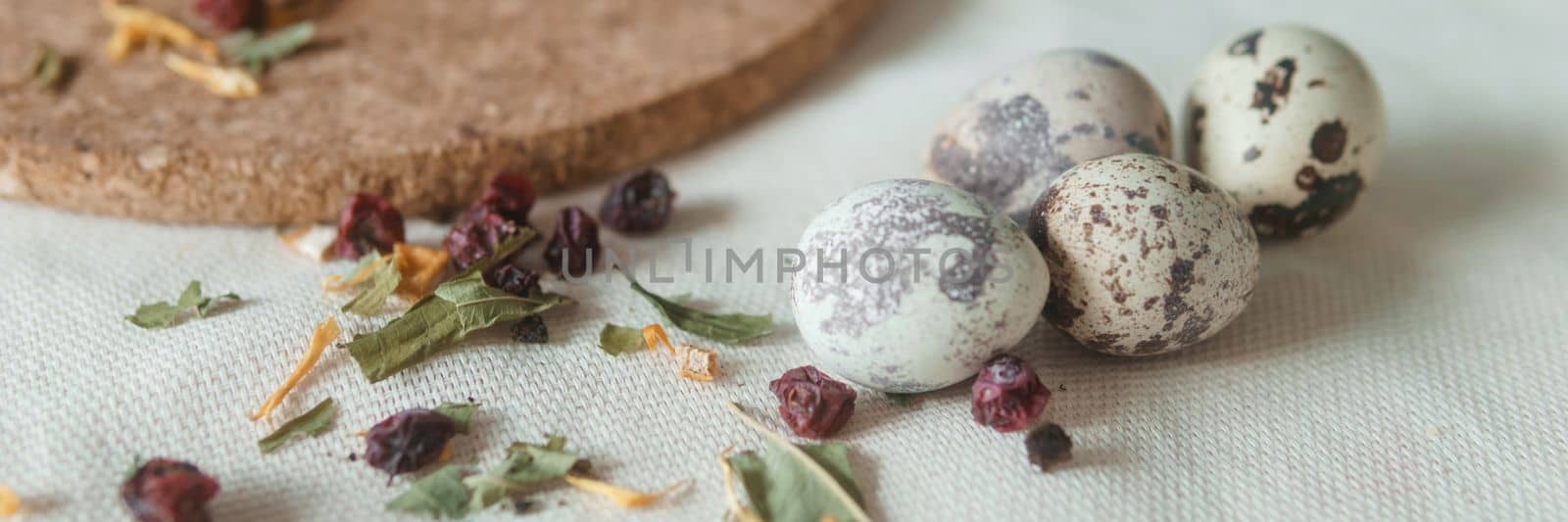 Easter cupcakes with raisins and quail eggs on a white table close-up. The concept of celebrating Happy Easter