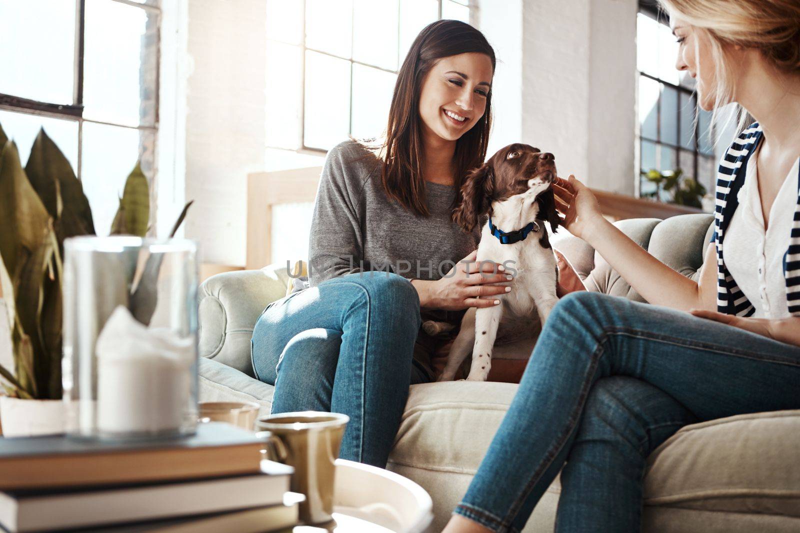 Women, friends and relax with dog on sofa in living room for calm, peace and quality time with pet. Puppy, lifestyle happiness and animal care in home with female owners for love or support on couch by YuriArcurs